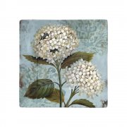 Noble Hortensia Plate 20x20 cms square