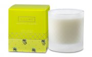 Pineapple Cilantro scented candle in frosted glass