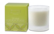 Oakmoss scented candle in frosted glass