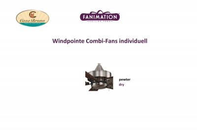 Windpointe ceiling fan, personalized
